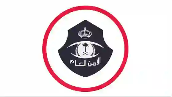 هذا ما نعرفه حتى الآن عن تعديلات نظام الحراسات الأمنية